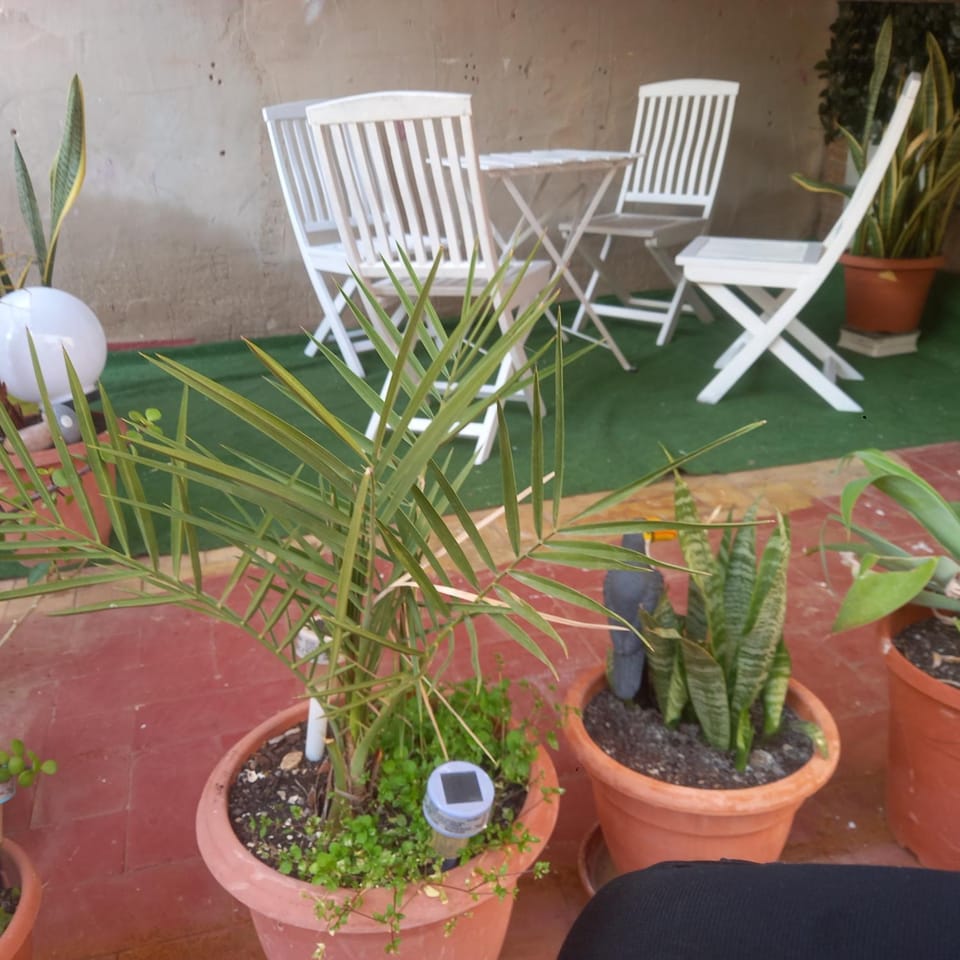 Clavelina Economy Room calle Julio Antonio Vacation rental in Alicante