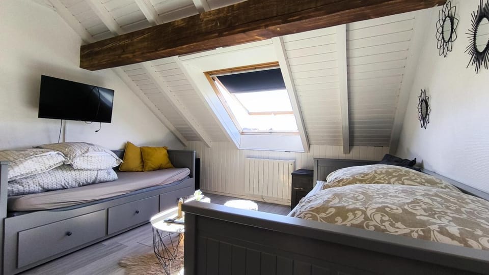 Charmant studio, le petit gris des montagnes Apartment in Canton of Vaud
