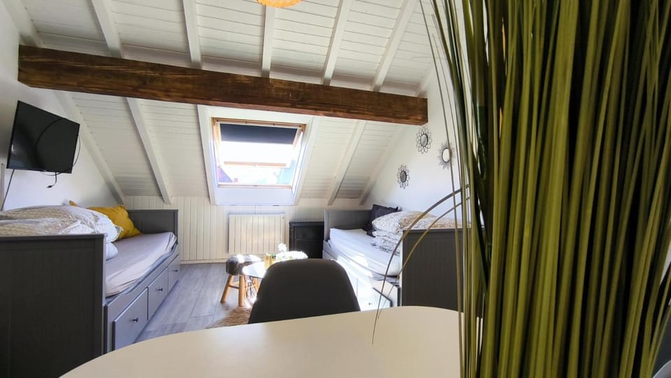 Charmant studio, le petit gris des montagnes Apartment in Canton of Vaud
