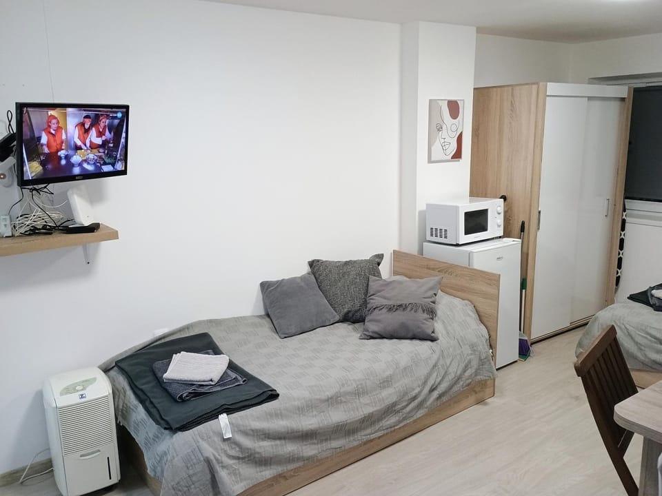 Bed, TV and multimedia, Kitchen or kitchenette, Living room, Photo of the whole room, Seating area, Bedroom, minibar, oven