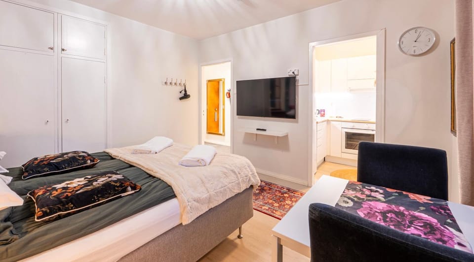 Studio in the city center FREE PRIVATE PARKING with heating plug Apartment in Kemi