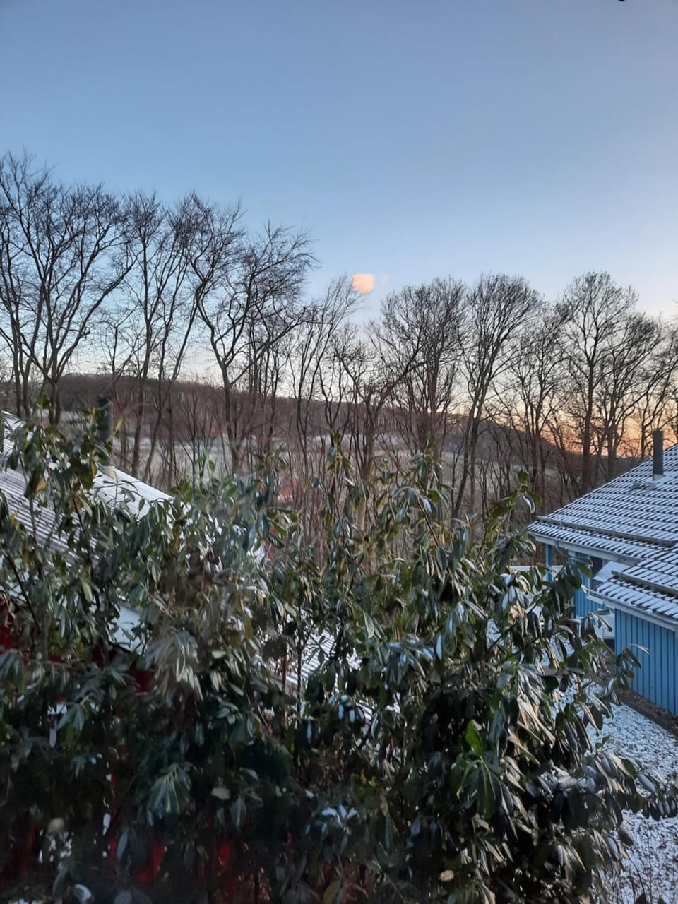 Natural landscape, Winter, View (from property/room)