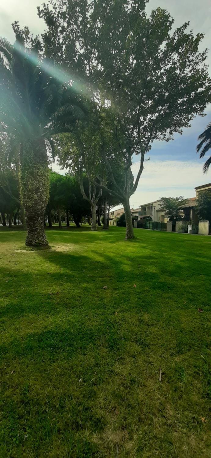 Spring, Day, Natural landscape, Garden, Garden view