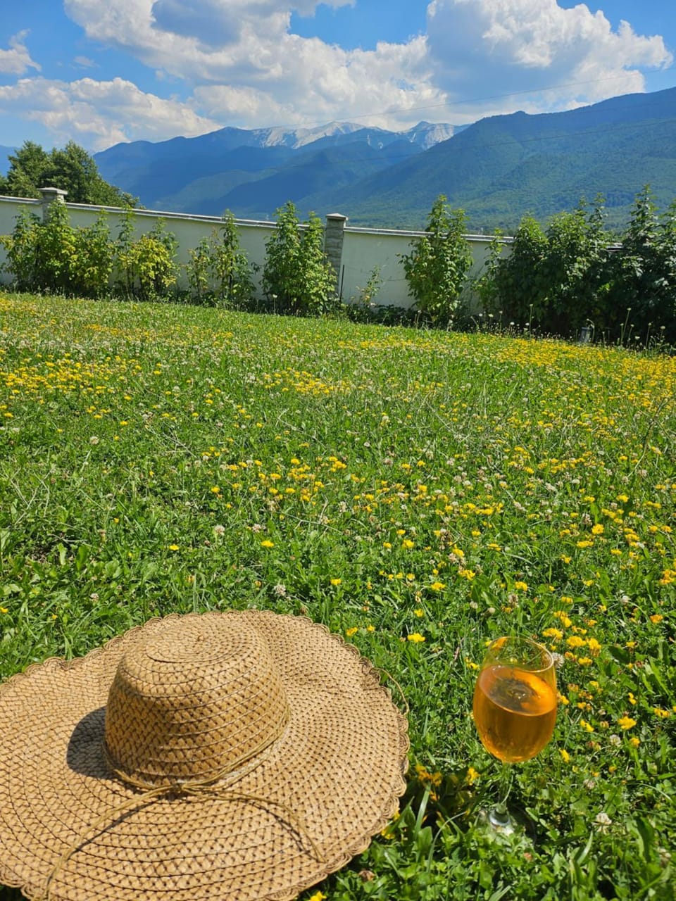 Къща за гости Радост Guest House Radost Chalet in Blagoevgrad Province