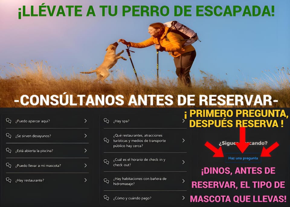 Hiking, Animals, pet friendly