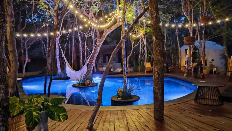Patio, Night, Natural landscape, Garden, Decorative detail, Garden view, Pool view, Swimming pool, sunbed