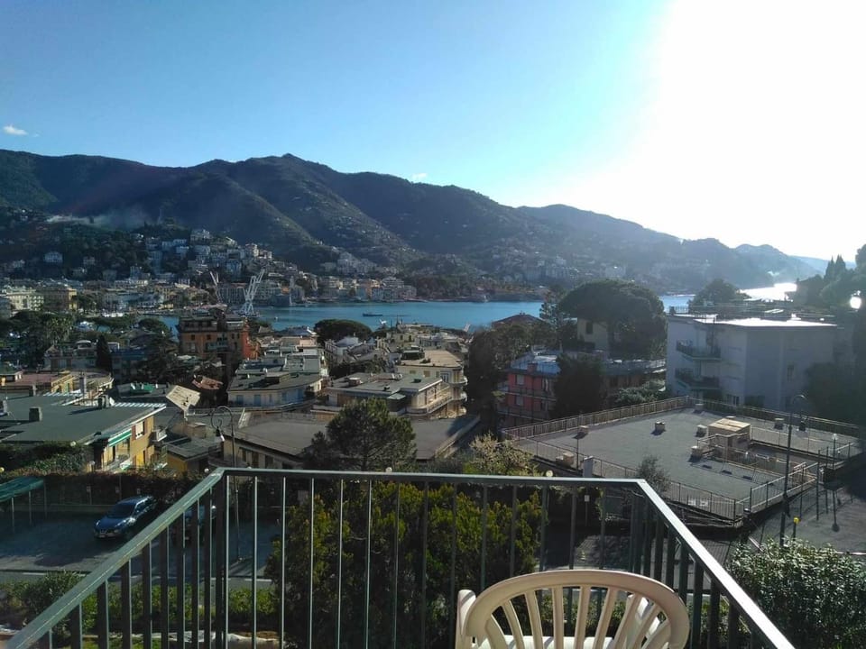 Neighbourhood, City view