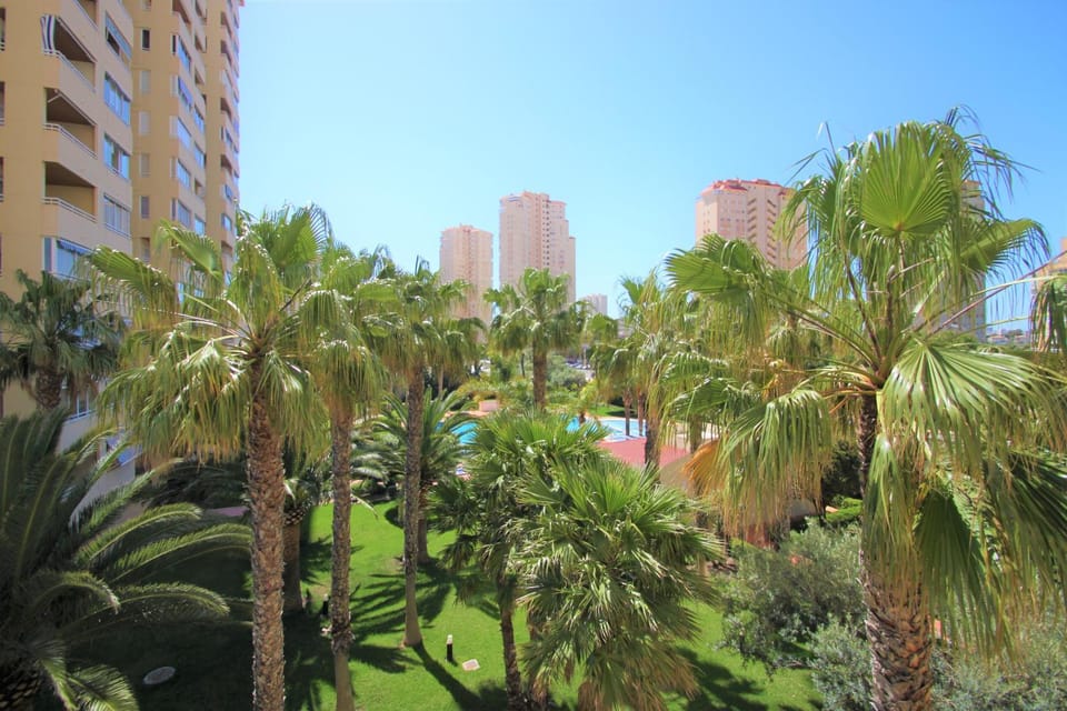 Garden, Garden, Garden view, Street view