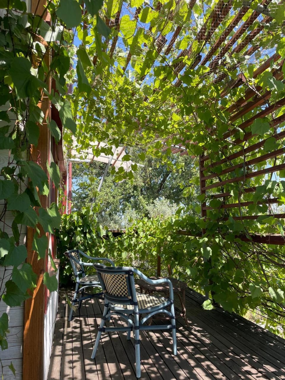 Garden, Dining area, Garden view