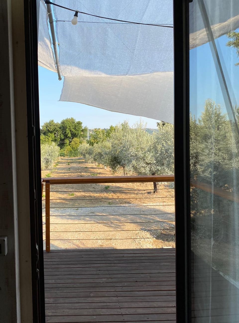 Balcony/Terrace, Garden view