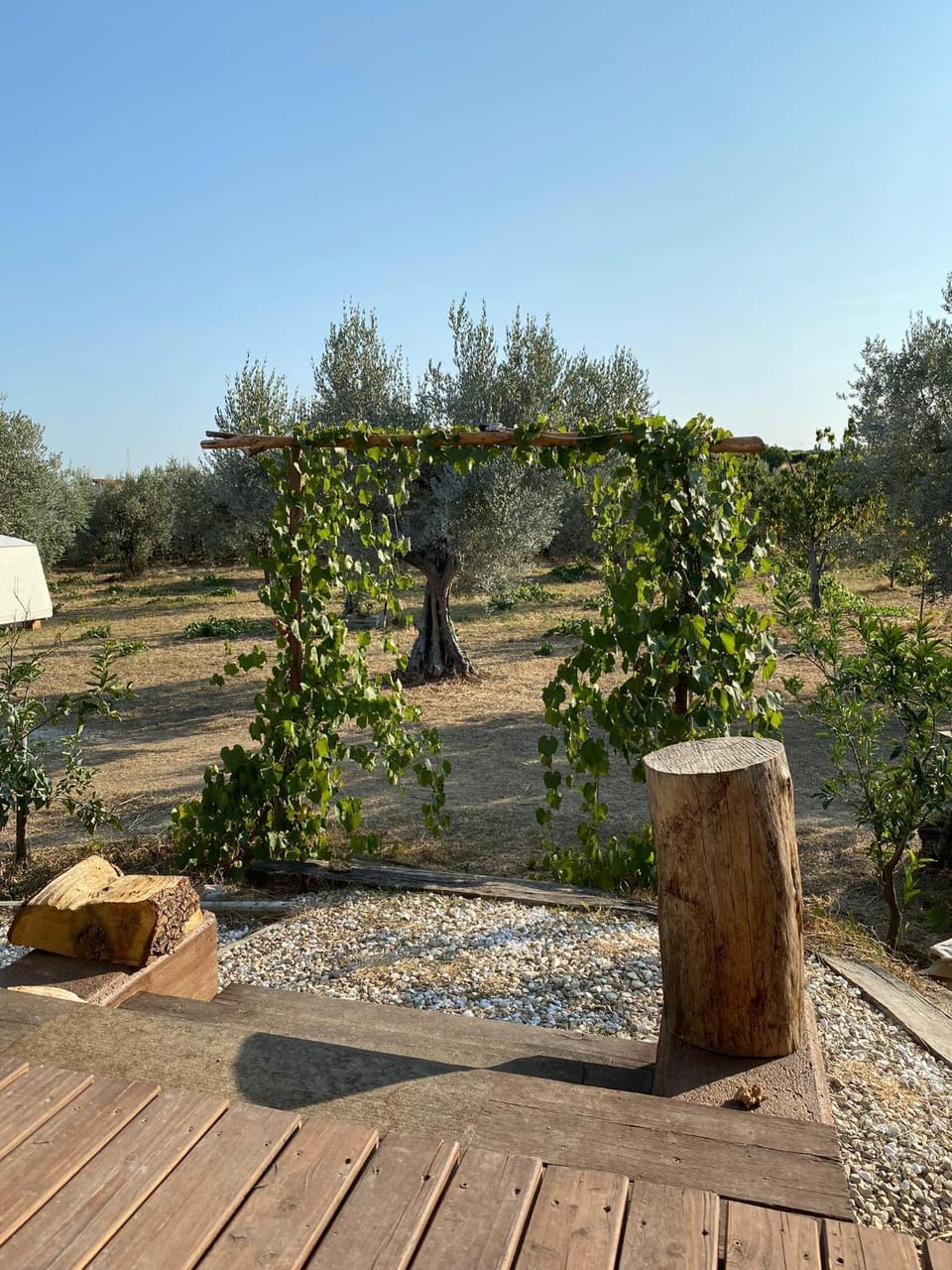 Garden view