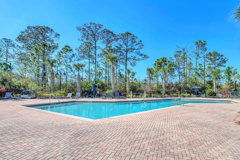 Pool view, Swimming pool, sunbed