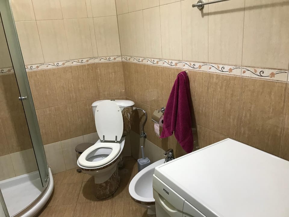 Shower, Bathroom, bidet