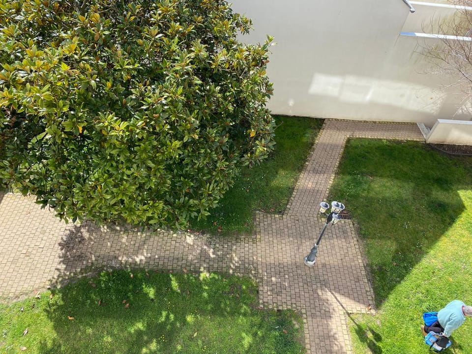 Garden view