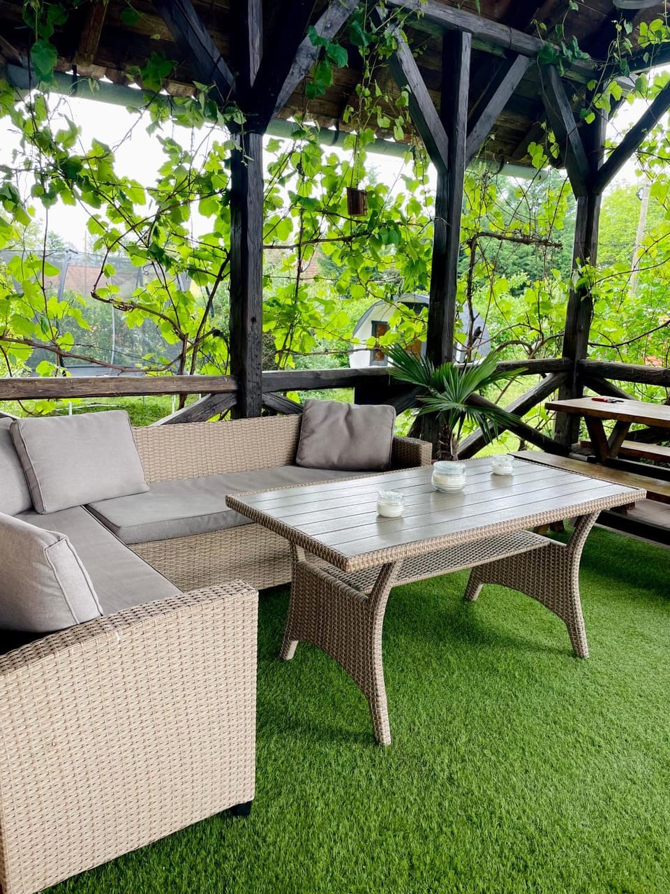 Garden view