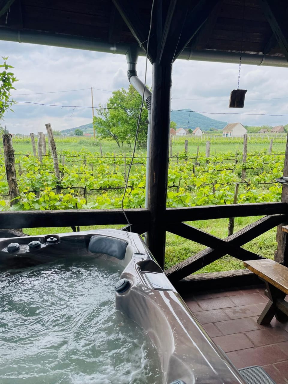 Natural landscape, Hot Tub, Garden view
