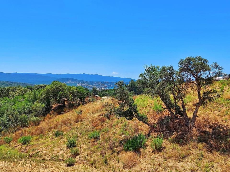 Amalia - Sea view terrace, Wifi, Parking - by TGB Apartment in Ajaccio