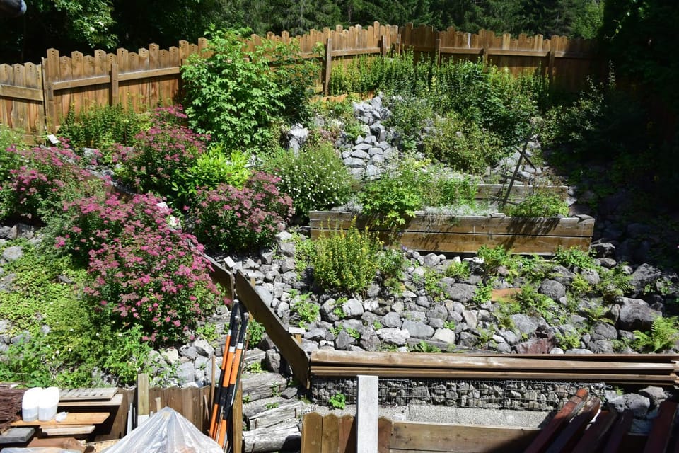 Patio, Summer, Garden view