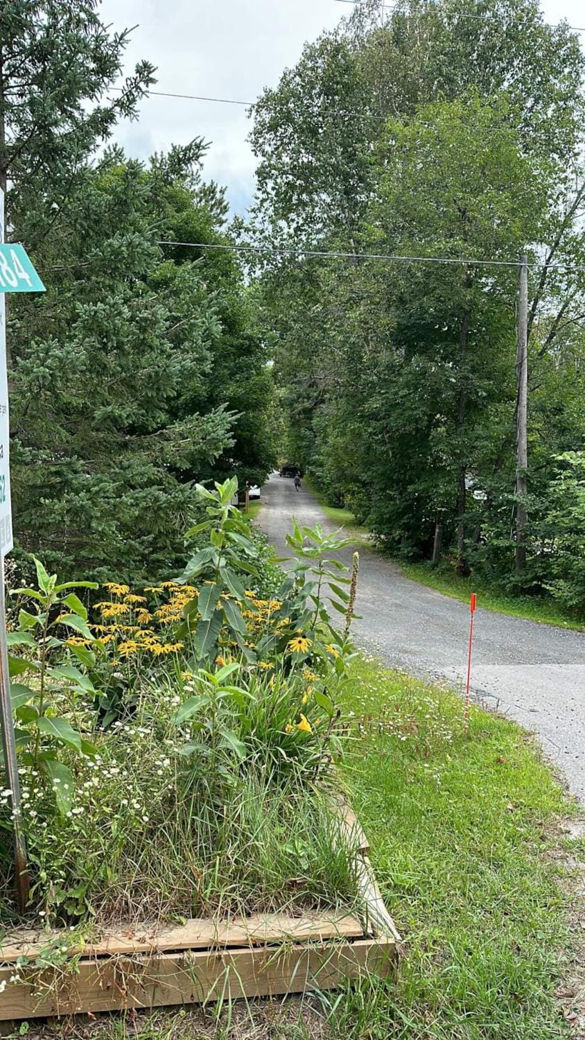 The Pines Cottage on the Lake House in Seguin