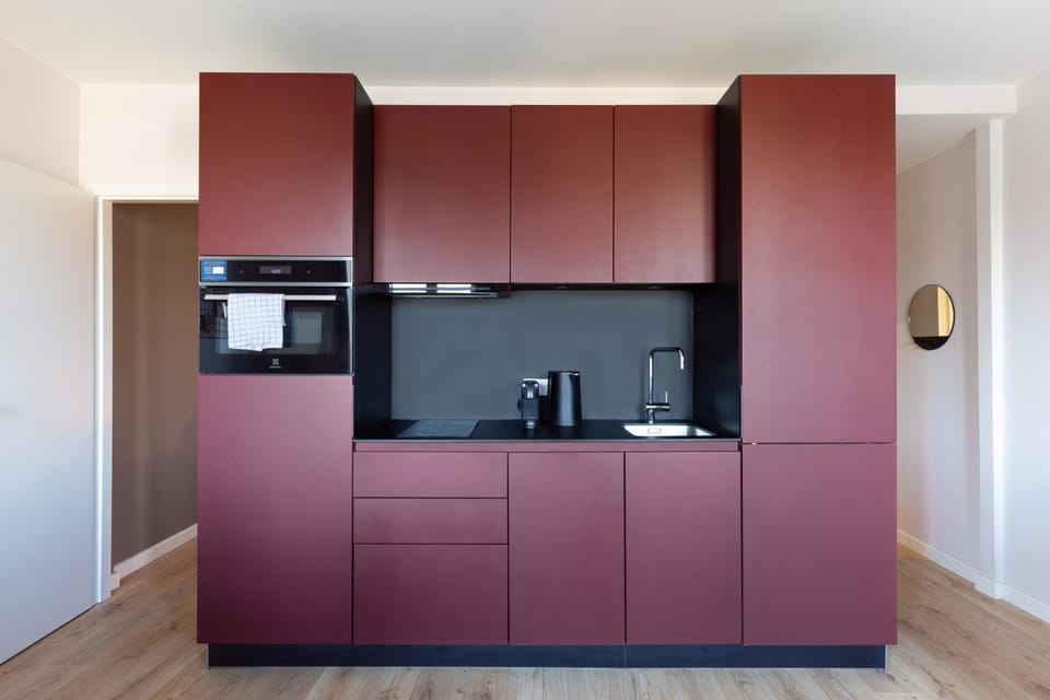 Travel Homes - The Parc, next to Champ de Mars Apartment in Colmar