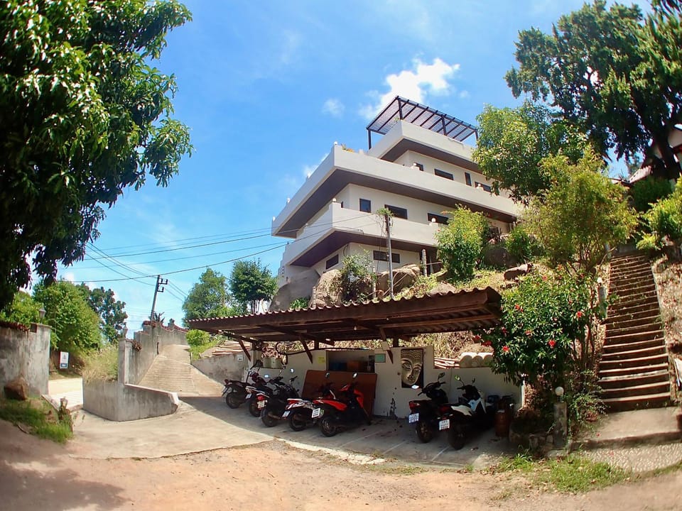 Property building, Day