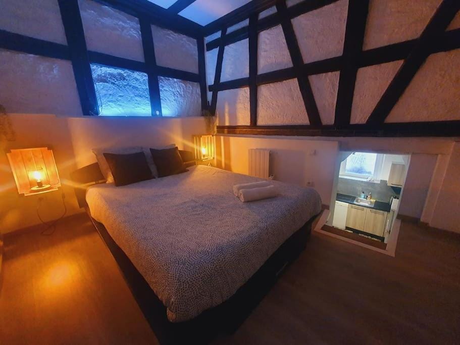 Aux Plaisirs d'Alsace Centre Historique Apartment in Sélestat