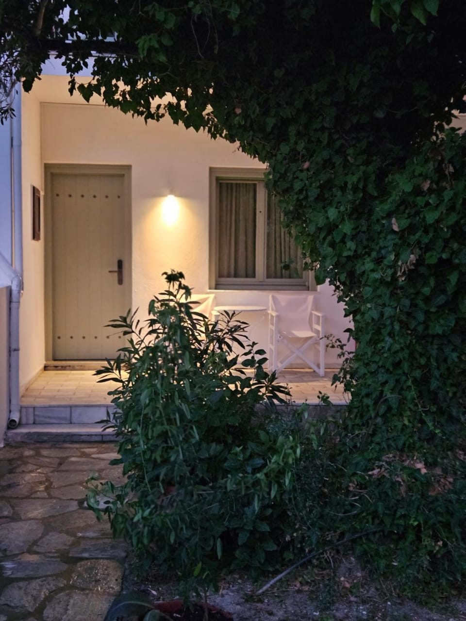 Garden view