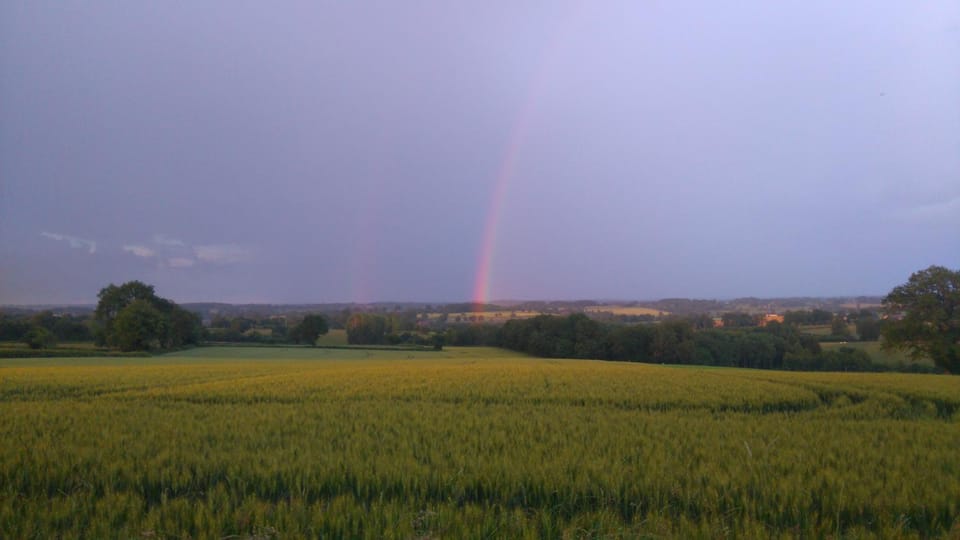 Natural landscape, Garden