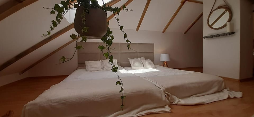 Domek - Apartament Apartment in Pomeranian Voivodeship