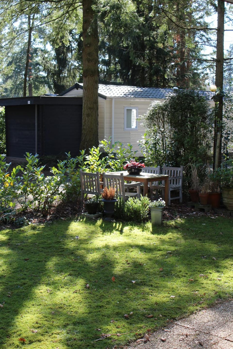 Patio, Garden