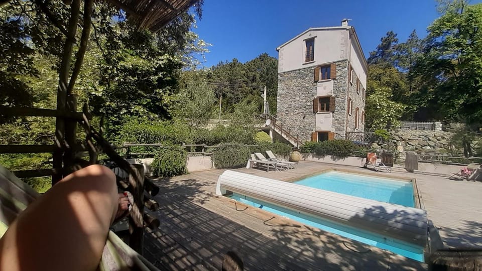 Natural landscape, Garden, Garden view, Pool view, Swimming pool, sunbed