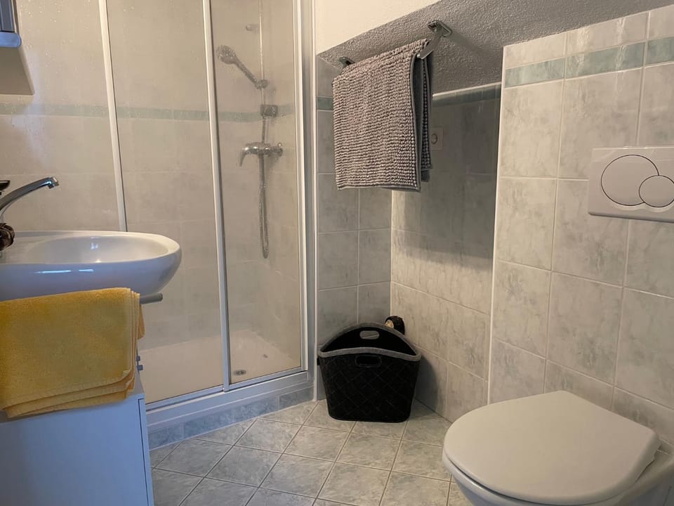 Shower, Toilet, Bathroom, towels
