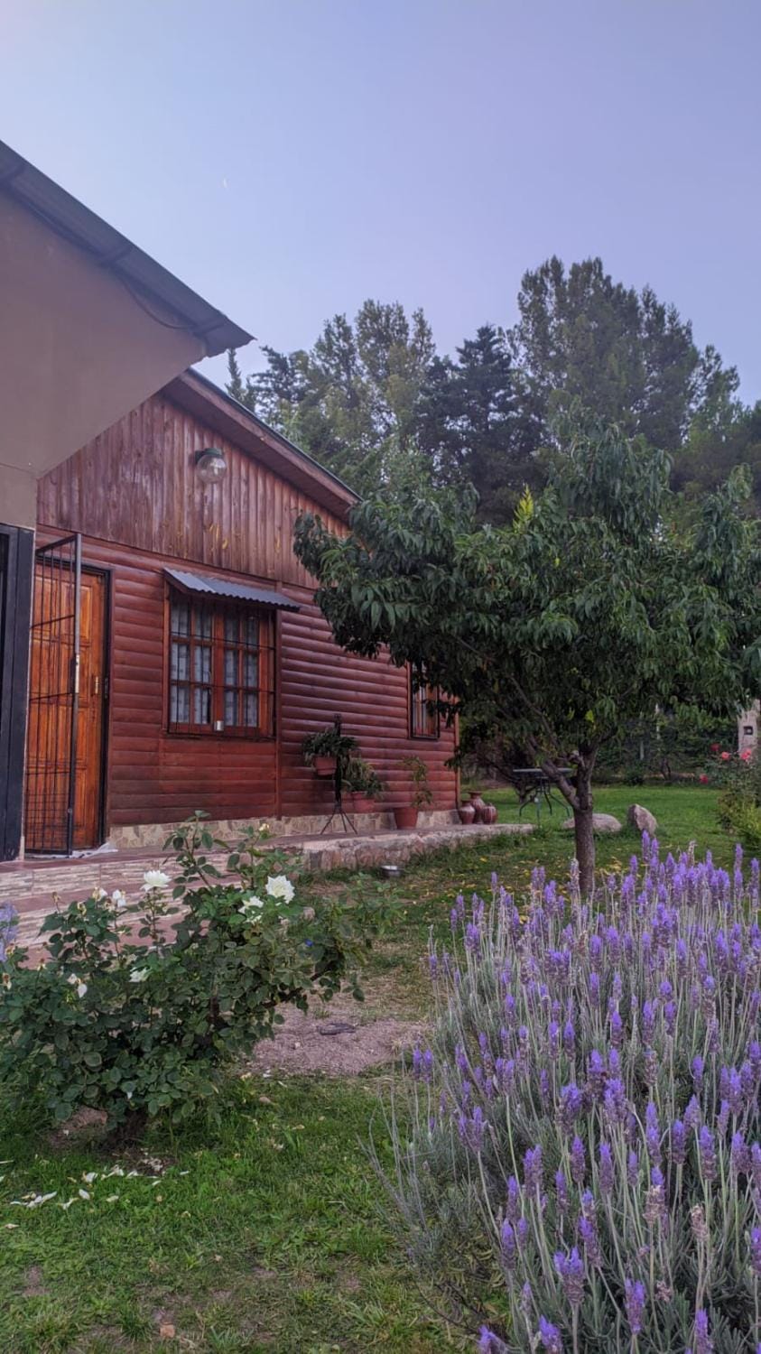 Property building, Off site, Garden