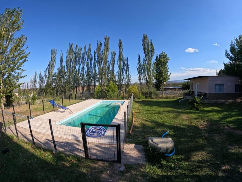 Garden, Pool view, Swimming pool