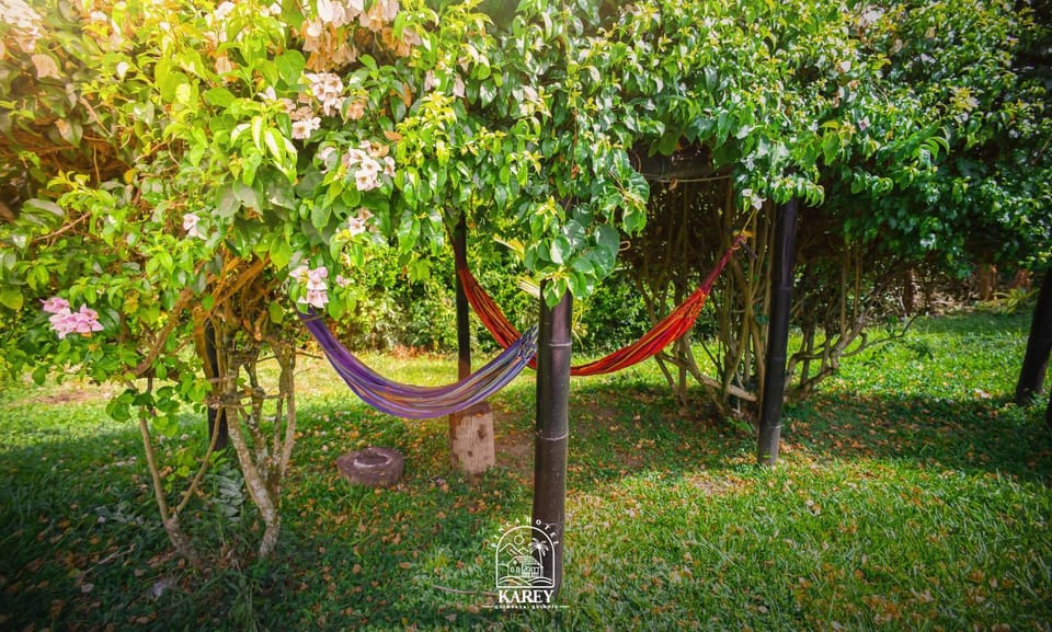 Spring, Day, Natural landscape, Garden view