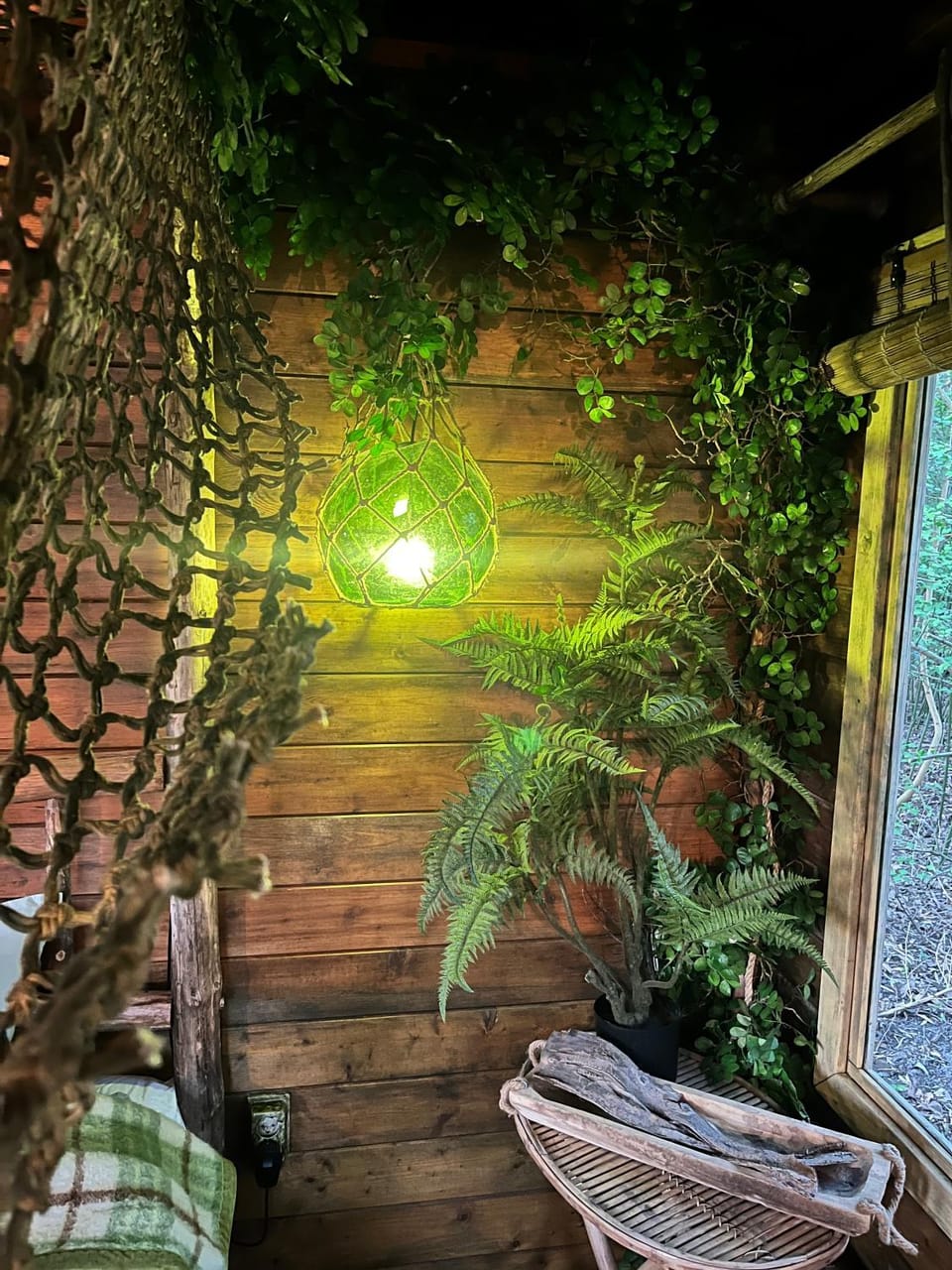 Bamboo Lodge Groningen Bed and Breakfast in Groningen