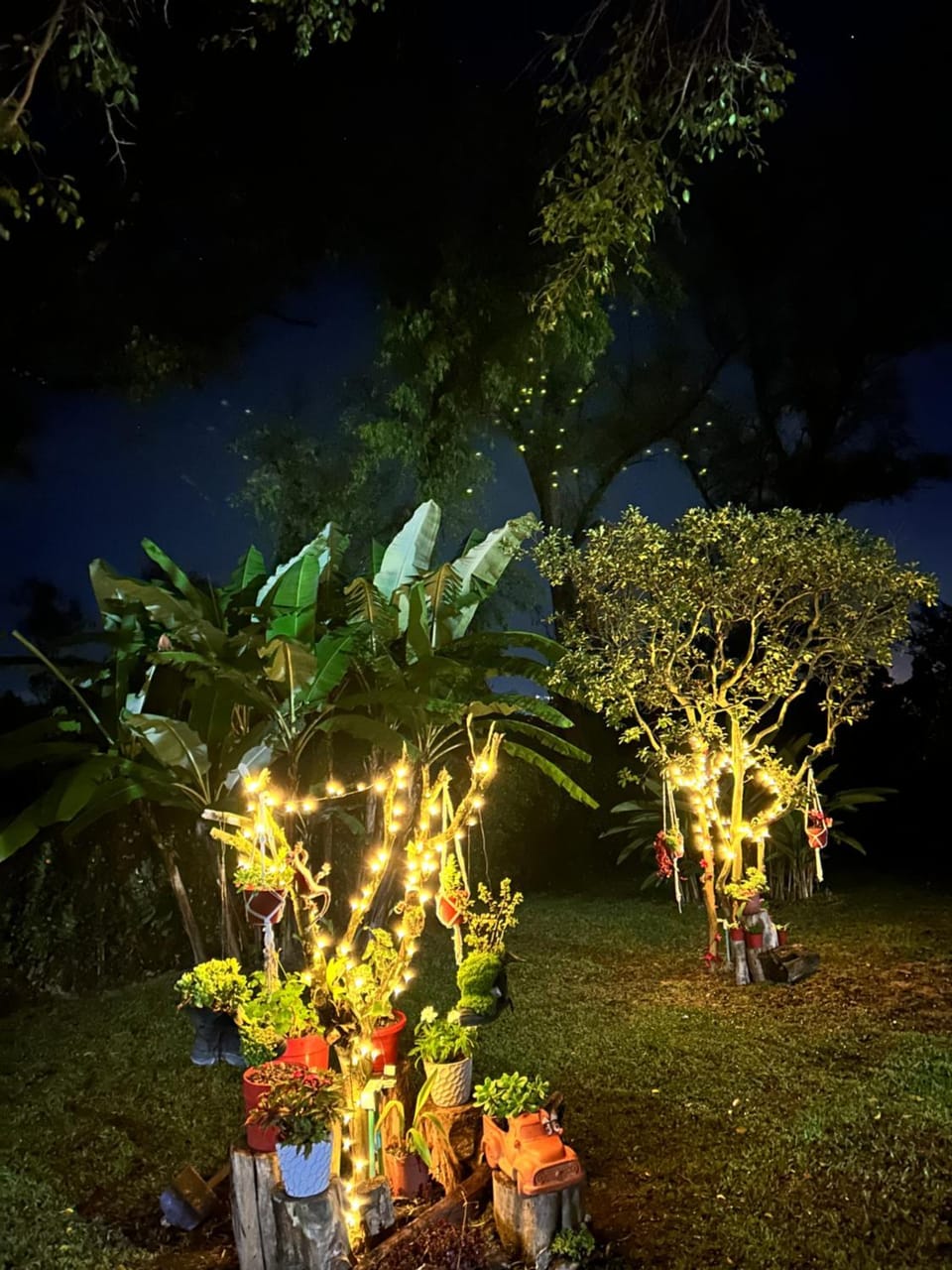 finca Encanto House in Antioquia