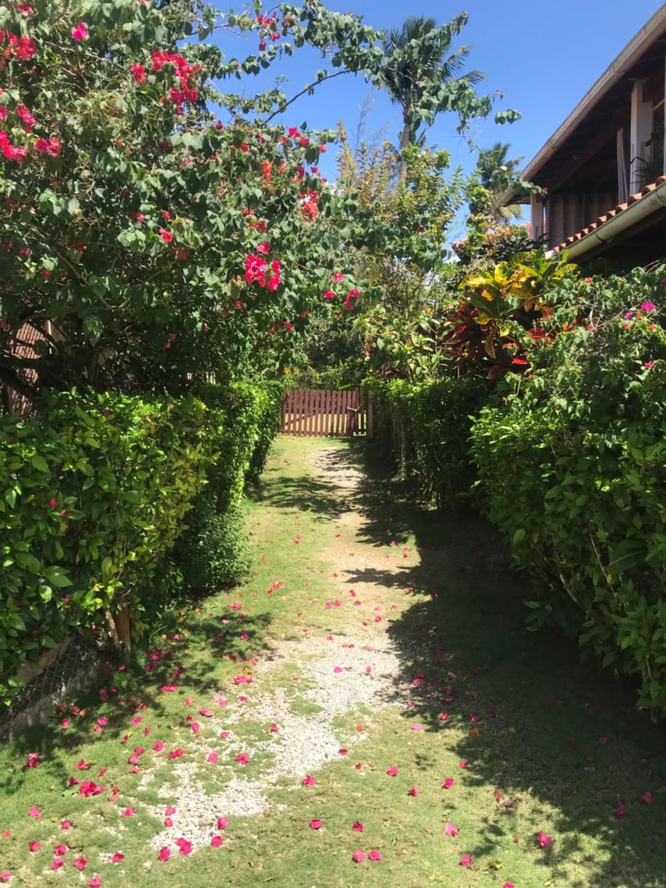 View (from property/room), Garden view