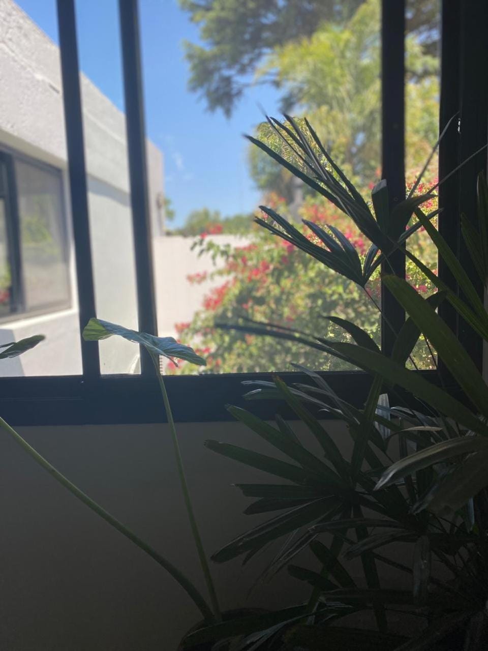 Excelente Loft con terraza verde y ducha Apartment in San Isidro