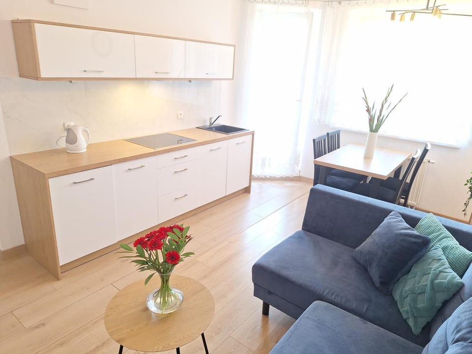 Kitchen or kitchenette, Living room, Seating area