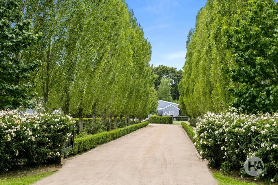 Facade/entrance, Garden, Garden view