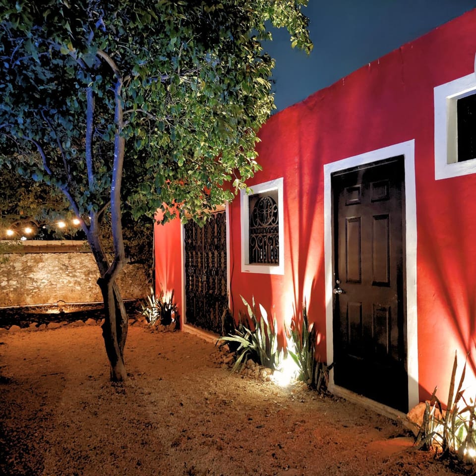 Night, Garden, Garden view