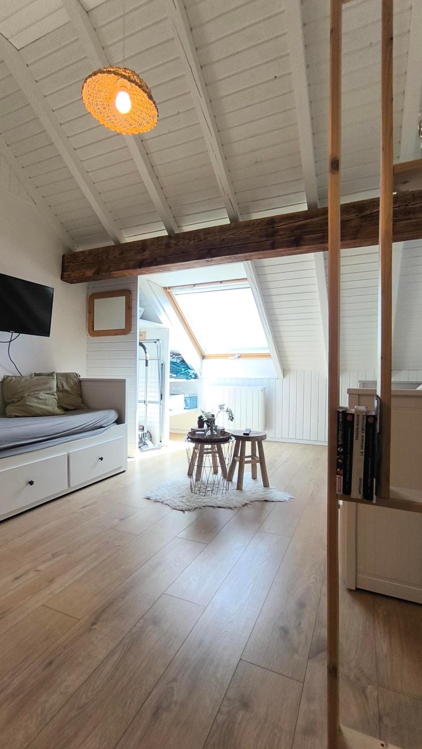 Coquet studio 4 personnes Apartment in Canton of Vaud