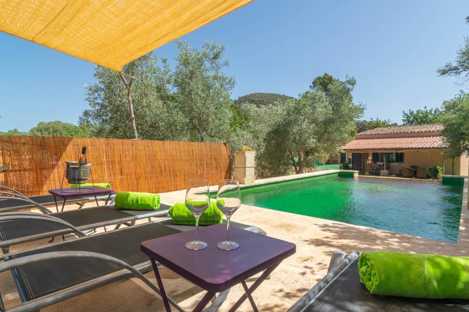 Swimming pool, sunbed