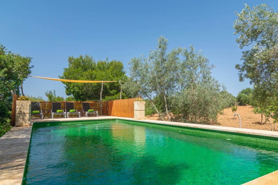 Swimming pool, sunbed