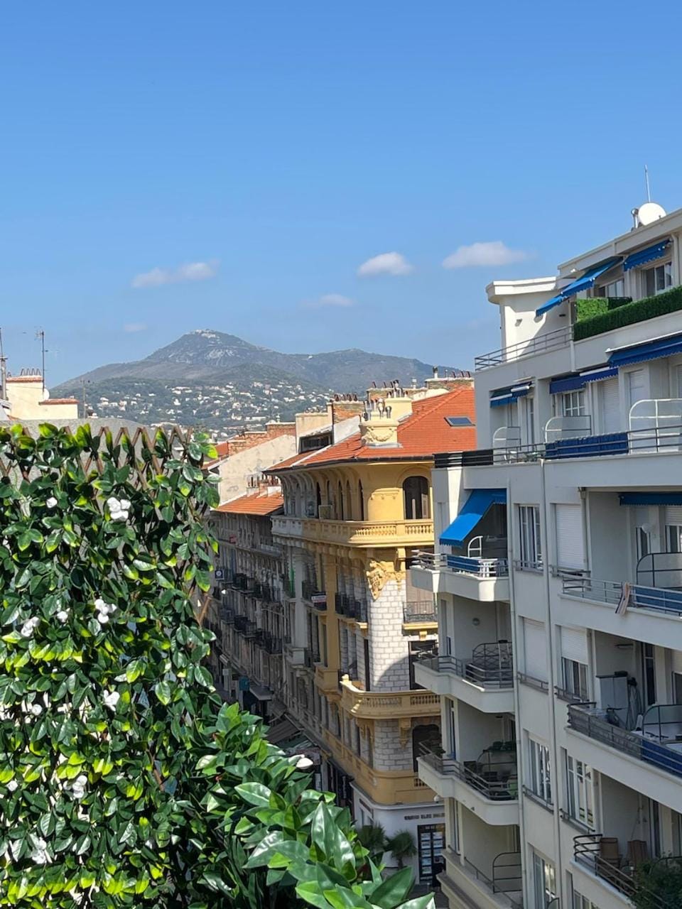 City view