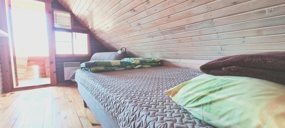 Partsilombi Holiday Home House in Estonia