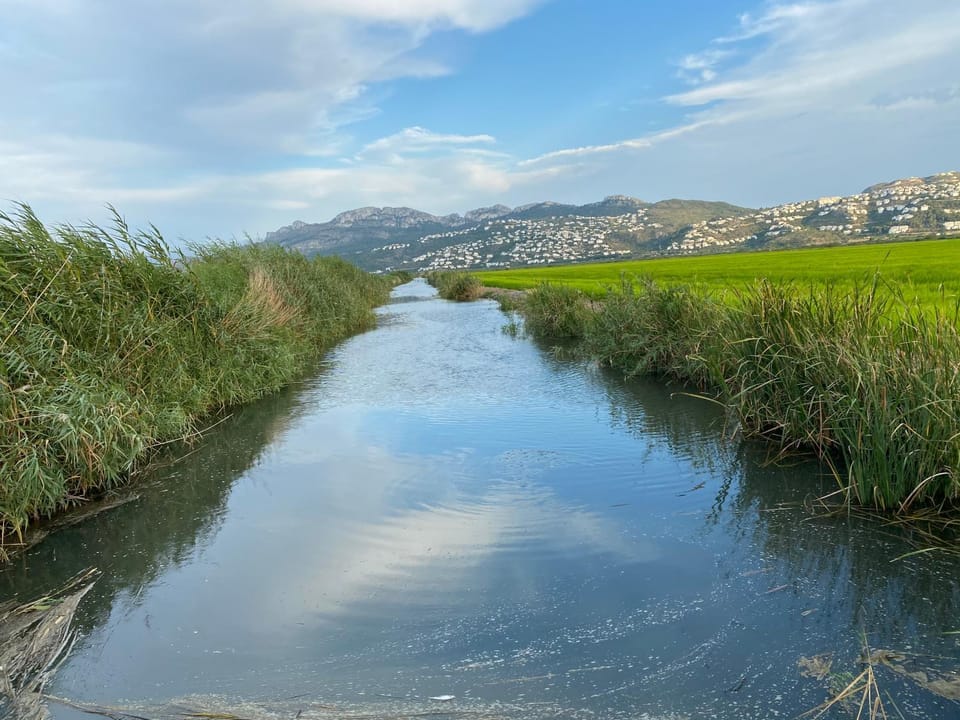 Natural landscape