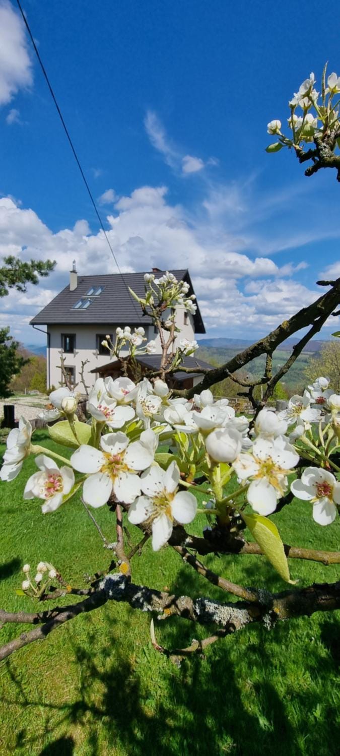 Swoboda na szczycie góry z dala od miasta Bed and Breakfast in Poland