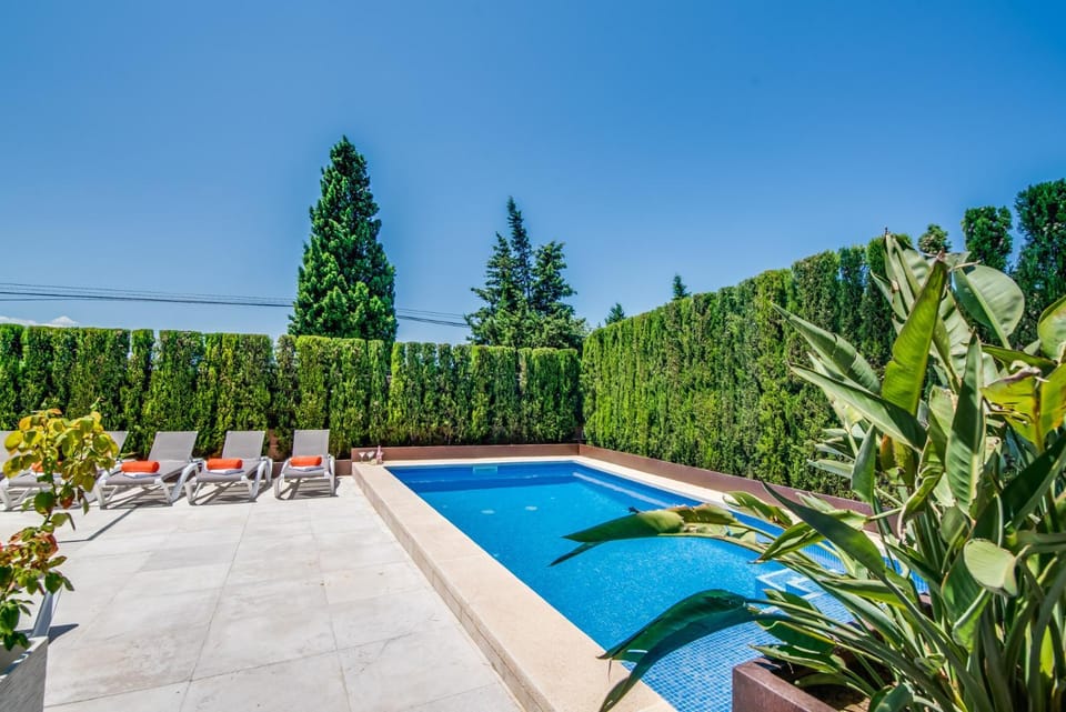 Patio, Garden, Garden view